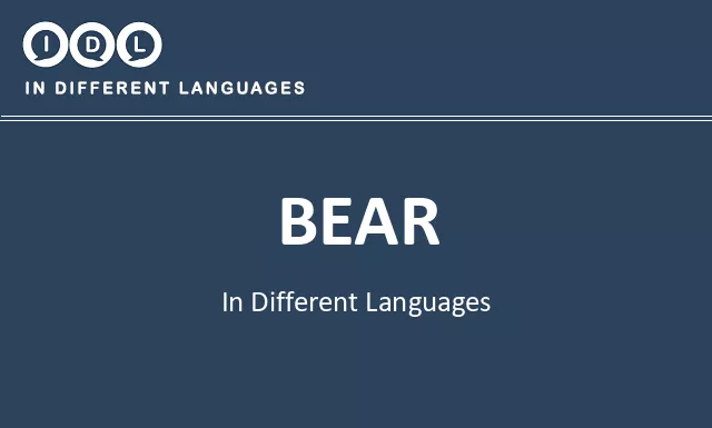 Bear in Different Languages - Image