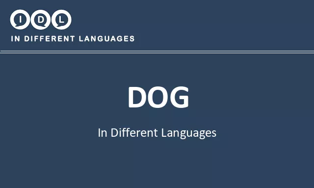 Dog in Different Languages - Image