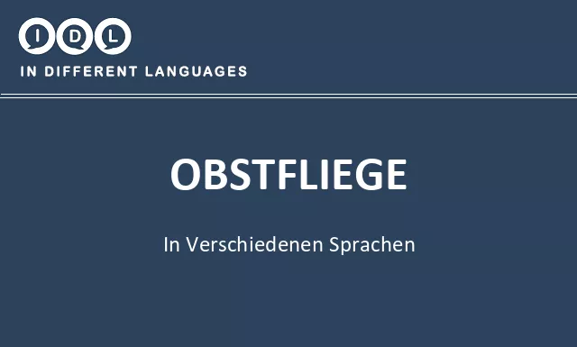 Obstfliege in verschiedenen sprachen - Bild