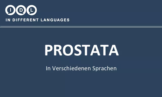 Prostata in verschiedenen sprachen - Bild