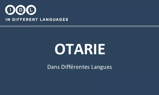 Otarie dans différentes langues - Image
