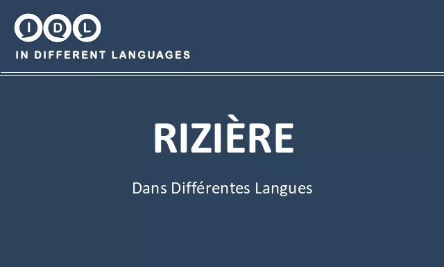 Rizière dans différentes langues - Image