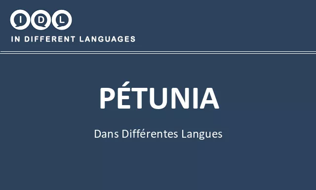 Pétunia dans différentes langues - Image