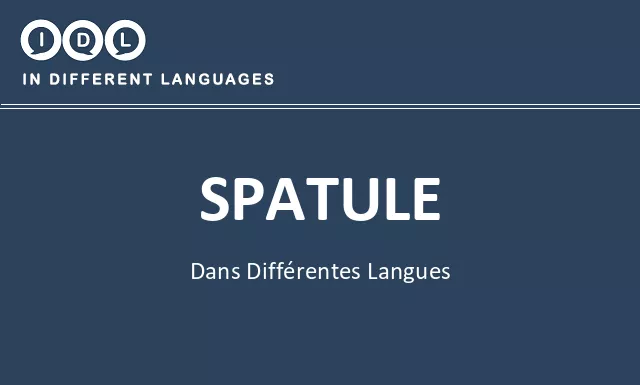 Spatule dans différentes langues - Image