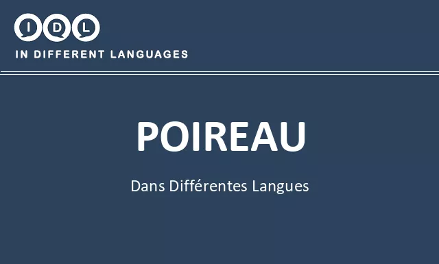 Poireau dans différentes langues - Image