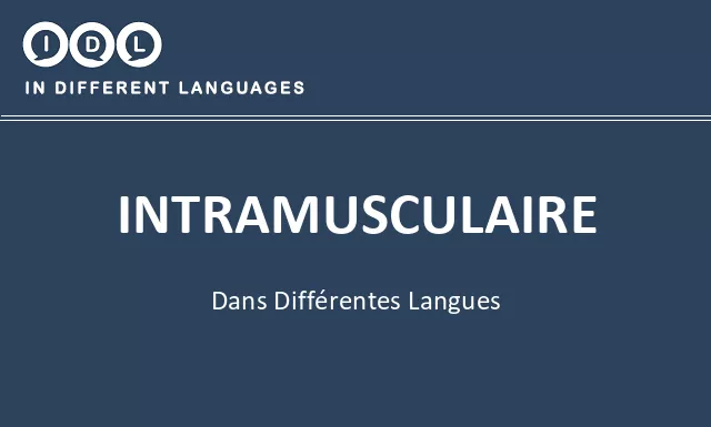 Intramusculaire dans différentes langues - Image