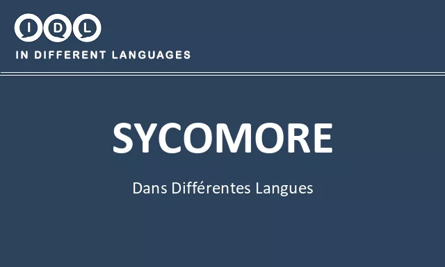 Sycomore dans différentes langues - Image