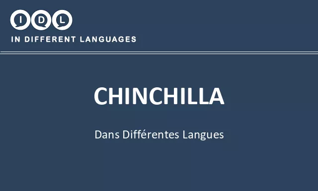 Chinchilla dans différentes langues - Image