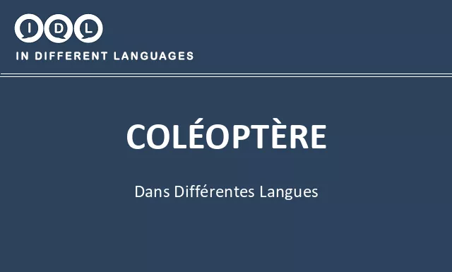Coléoptère dans différentes langues - Image