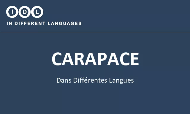 Carapace dans différentes langues - Image
