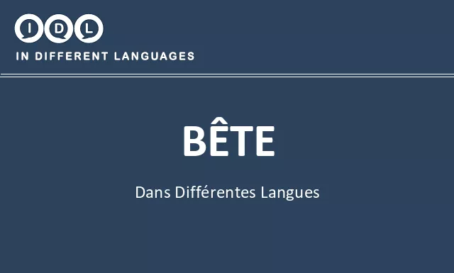 Bête dans différentes langues - Image
