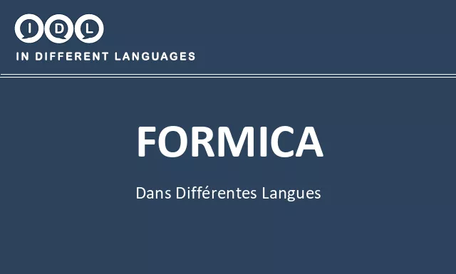 Formica dans différentes langues - Image