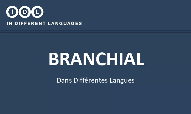 Branchial dans différentes langues - Image