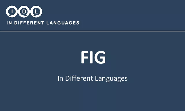 Fig in Different Languages - Image