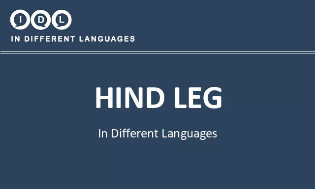 Hind leg in Different Languages - Image