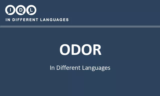 Odor in Different Languages - Image