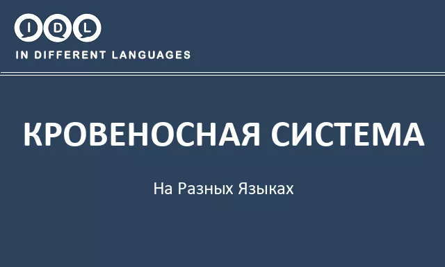 Кровеносная система на разных языках - Изображение