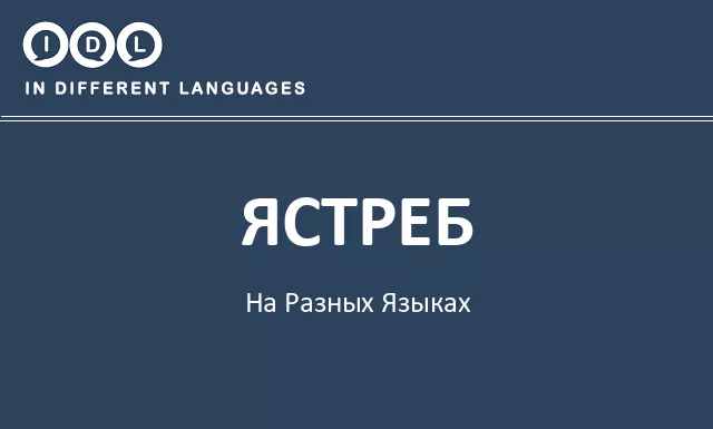 Ястреб на разных языках - Изображение