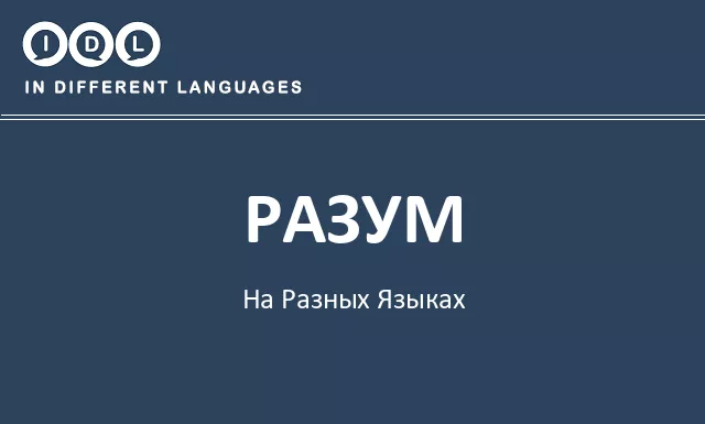 Разум на разных языках - Изображение